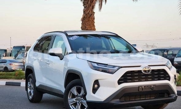 Buy Used Toyota RAV4 White Car in Maputsoa in Leribe