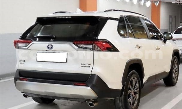 Buy Used Toyota RAV4 White Car in Maputsoa in Leribe Buy Used Toyota RAV4 White Car in Maputsoa in Leribe