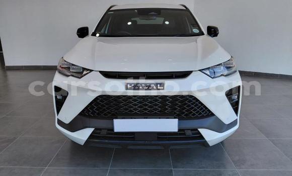 Buy Used Haval H6 White Car in Maseru in Maseru