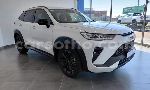 Sayi Na hannu Haval H6 White Mota in Maseru a Maseru Sayi Na hannu Haval H6 White Mota in Maseru a Maseru