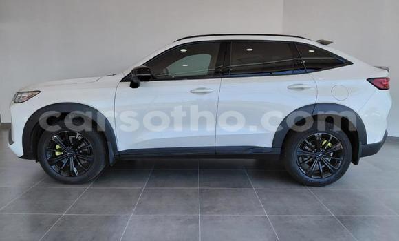 Sayi Na hannu Haval H6 White Mota in Maseru a Maseru Sayi Na hannu Haval H6 White Mota in Maseru a Maseru