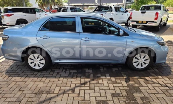 Buy Used Toyota Corolla Blue Car in Maputsoe in Leribe Buy Used Toyota Corolla Blue Car in Maputsoe in Leribe