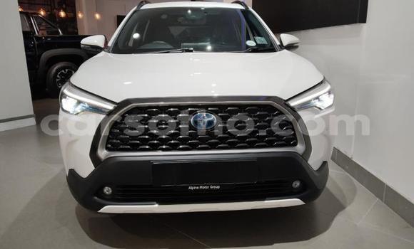 Buy Used Toyota Corolla Cross White Car in Mokhotlong in Berea