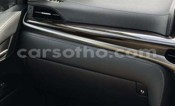 Buy Used Lexus LX 570 White Car in Teyateyaneng in Berea Buy Used Lexus LX 570 White Car in Teyateyaneng in Berea