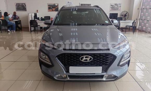 Buy Used Hyundai Kona Other Car in Mohale's Hoek in Mohale's Hoek