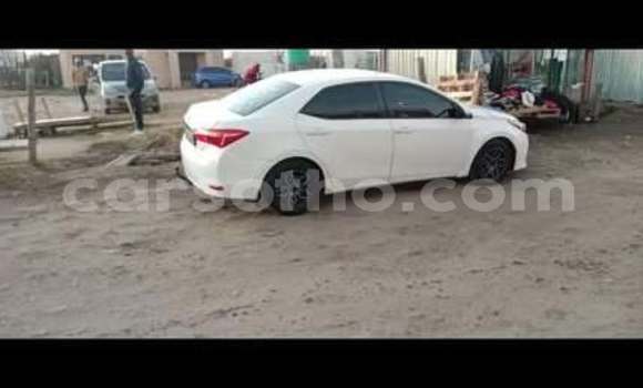 Sayi Na hannu Toyota Corolla White Mota in Maseru a Maseru Sayi Na hannu Toyota Corolla White Mota in Maseru a Maseru