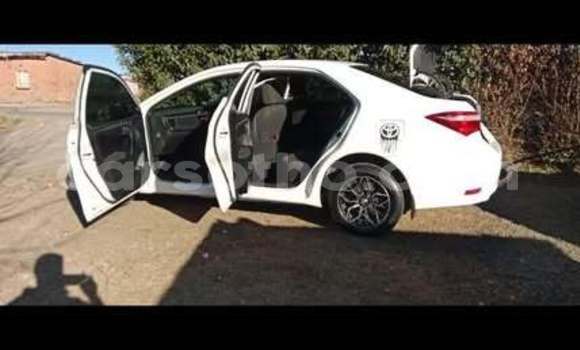 Sayi Na hannu Toyota Corolla White Mota in Maseru a Maseru Sayi Na hannu Toyota Corolla White Mota in Maseru a Maseru
