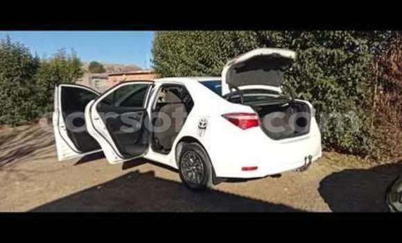 Sayi Na hannu Toyota Corolla White Mota in Maseru a Maseru Sayi Na hannu Toyota Corolla White Mota in Maseru a Maseru