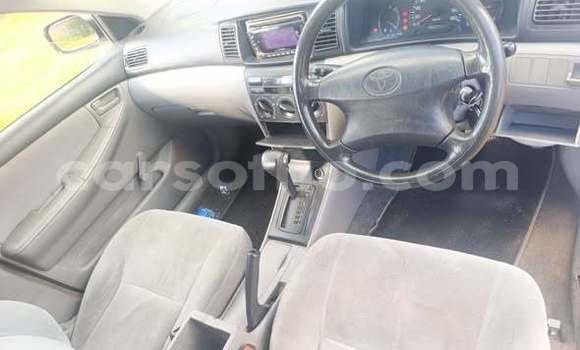 Buy Used Toyota Corolla Other Car in Maseru in Maseru Buy Used Toyota Corolla Other Car in Maseru in Maseru