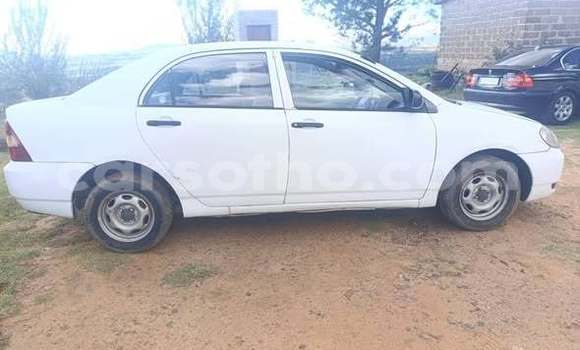 Buy Used Toyota Corolla Other Car in Maseru in Maseru Buy Used Toyota Corolla Other Car in Maseru in Maseru