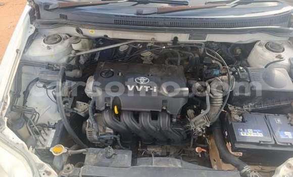 Buy Used Toyota Corolla Other Car in Maseru in Maseru Buy Used Toyota Corolla Other Car in Maseru in Maseru