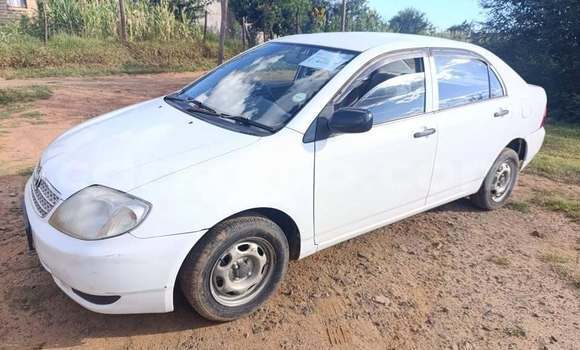 Buy Used Toyota Corolla Other Car in Maseru in Maseru Buy Used Toyota Corolla Other Car in Maseru in Maseru