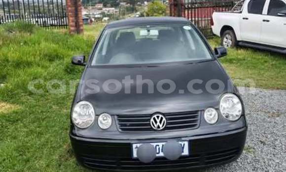Buy Used Volkswagen Polo Other Car in Maseru in Maseru Buy Used Volkswagen Polo Other Car in Maseru in Maseru