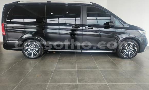 Buy Used Mercedes-Benz V-klasse Black Car in Roma in Maseru Buy Used Mercedes-Benz V-klasse Black Car in Roma in Maseru