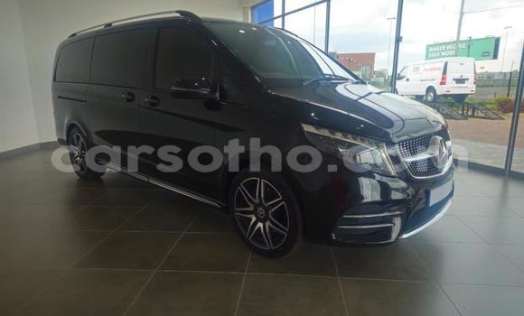 Buy Used Mercedes-Benz V-klasse Black Car in Roma in Maseru Buy Used Mercedes-Benz V-klasse Black Car in Roma in Maseru