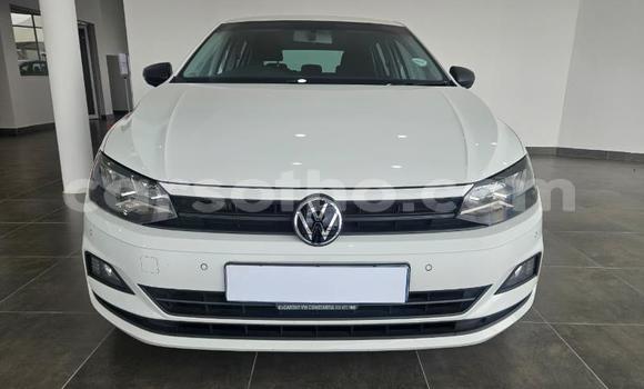 Buy Used Volkswagen Polo White Car in Thaba–Tseka in Mafeteng