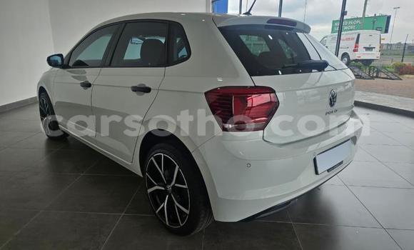Buy Used Volkswagen Polo White Car in Thaba–Tseka in Mafeteng Buy Used Volkswagen Polo White Car in Thaba–Tseka in Mafeteng