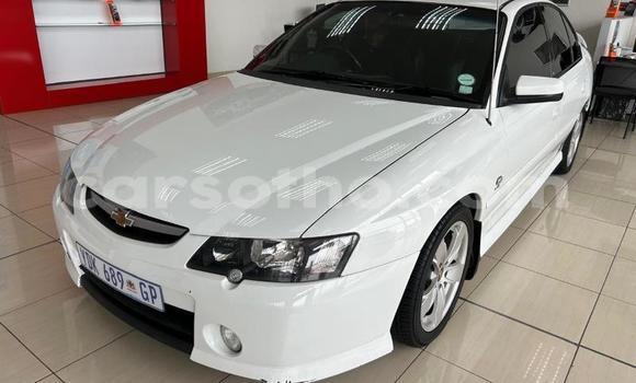 Buy Used Chevrolet Lumina Other Car in Hlotse in Leribe