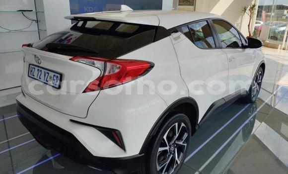 Buy Used Toyota C-HR White Car in Mafeteng in Mafeteng