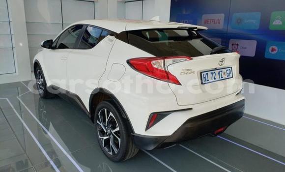 Buy Used Toyota C-HR White Car in Mafeteng in Mafeteng Buy Used Toyota C-HR White Car in Mafeteng in Mafeteng