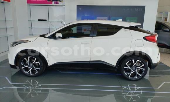 Buy Used Toyota C-HR White Car in Mafeteng in Mafeteng Buy Used Toyota C-HR White Car in Mafeteng in Mafeteng