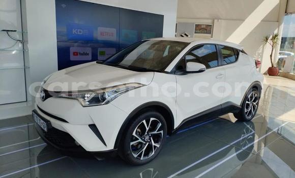 Buy Used Toyota C-HR White Car in Mafeteng in Mafeteng Buy Used Toyota C-HR White Car in Mafeteng in Mafeteng