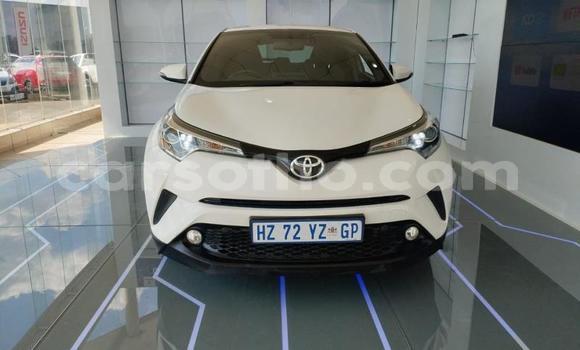 Buy Used Toyota C-HR White Car in Mafeteng in Mafeteng Buy Used Toyota C-HR White Car in Mafeteng in Mafeteng