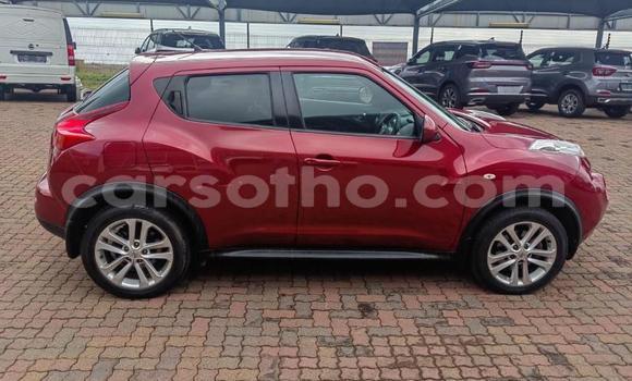 Buy Used Nissan Juke Red Car in Maputsoe in Leribe