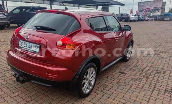 Buy Used Nissan Juke Red Car in Maputsoe in Leribe Buy Used Nissan Juke Red Car in Maputsoe in Leribe