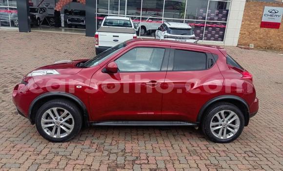 Buy Used Nissan Juke Red Car in Maputsoe in Leribe Buy Used Nissan Juke Red Car in Maputsoe in Leribe