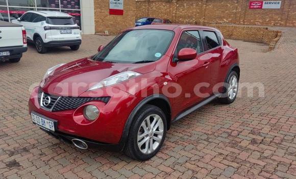Buy Used Nissan Juke Red Car in Maputsoe in Leribe Buy Used Nissan Juke Red Car in Maputsoe in Leribe