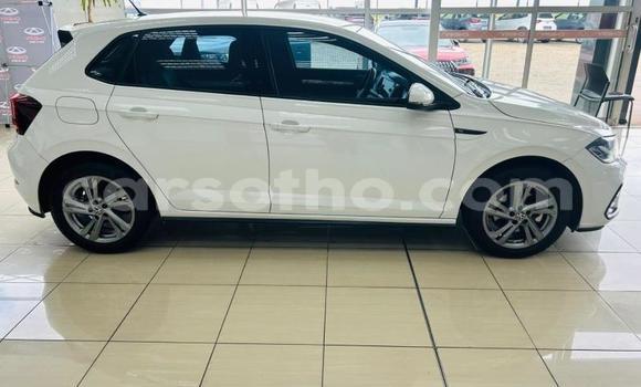 Buy Used Volkswagen Polo White Car in Quthing in Butha-Buthe