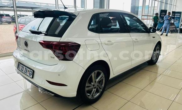 Buy Used Volkswagen Polo White Car in Quthing in Butha-Buthe Buy Used Volkswagen Polo White Car in Quthing in Butha-Buthe