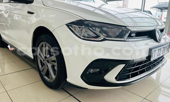 Buy Used Volkswagen Polo White Car in Quthing in Butha-Buthe Buy Used Volkswagen Polo White Car in Quthing in Butha-Buthe