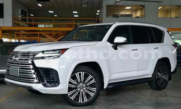 Buy Used Lexus LX White Car in Maseru in Maseru
