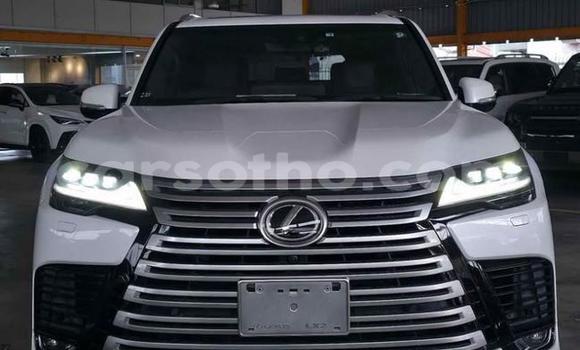 اشتري مستعمل Lexus LX White سيارة في Maseru في Maseru اشتري مستعمل Lexus LX White سيارة في Maseru في Maseru