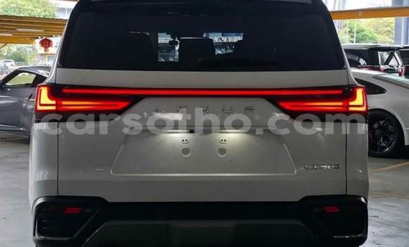 اشتري مستعمل Lexus LX White سيارة في Maseru في Maseru اشتري مستعمل Lexus LX White سيارة في Maseru في Maseru