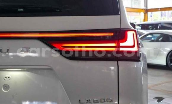 اشتري مستعمل Lexus LX White سيارة في Maseru في Maseru اشتري مستعمل Lexus LX White سيارة في Maseru في Maseru