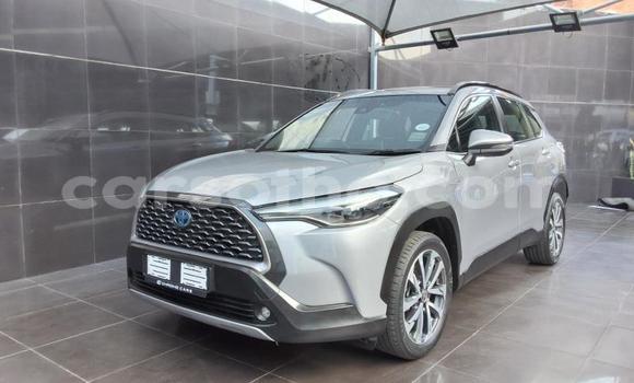 Buy Used Toyota Corolla Cross Silver Car in Maseru in Maseru