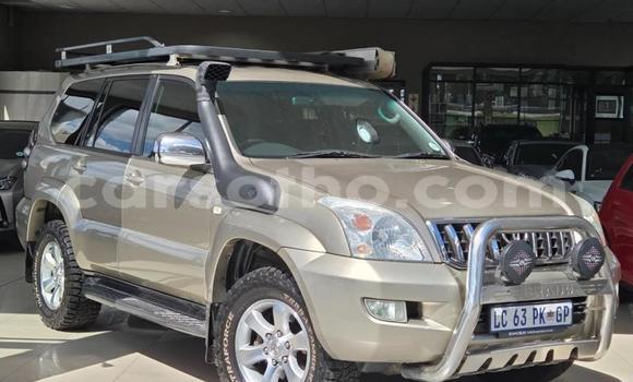 Buy Used Toyota Land Cruiser Prado Other Car in Mohale's Hoek in Mohale's Hoek
