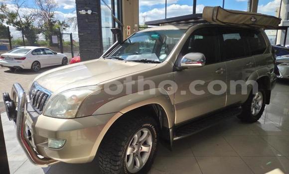 Sayi Na hannu Toyota Land Cruiser Prado Other Mota in Mohale's Hoek a Mohale's Hoek Sayi Na hannu Toyota Land Cruiser Prado Other Mota in Mohale's Hoek a Mohale's Hoek