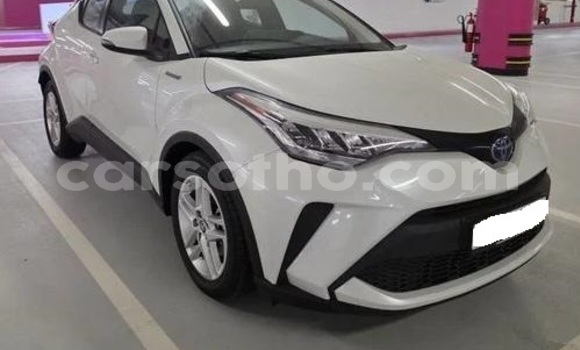 Buy Used Toyota C-HR White Car in Maputsoe in Leribe