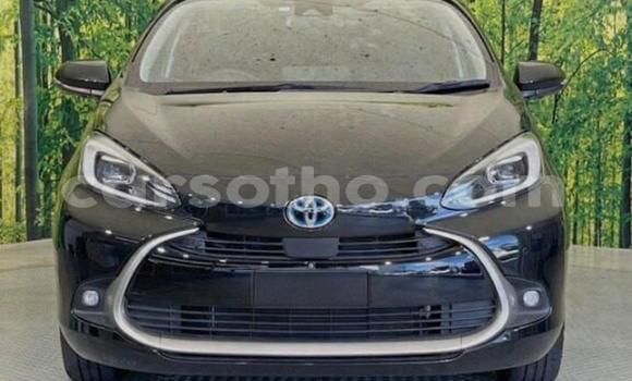 اشتري مستعمل Toyota Aqua Black سيارة في Maseru في Maseru اشتري مستعمل Toyota Aqua Black سيارة في Maseru في Maseru