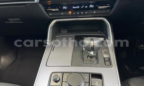 Sayi Na hannu Mazda CX-8 White Mota in Maseru a Maseru Sayi Na hannu Mazda CX-8 White Mota in Maseru a Maseru