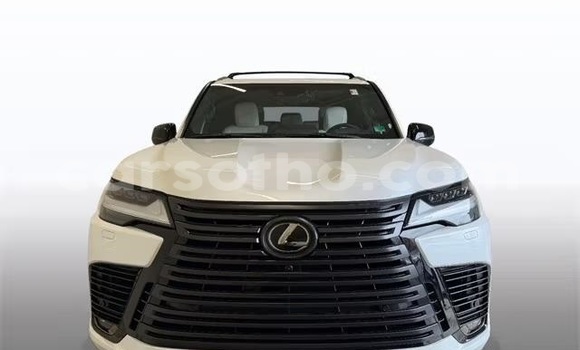 Buy Used Lexus LX White Car in Maputsoe in Leribe