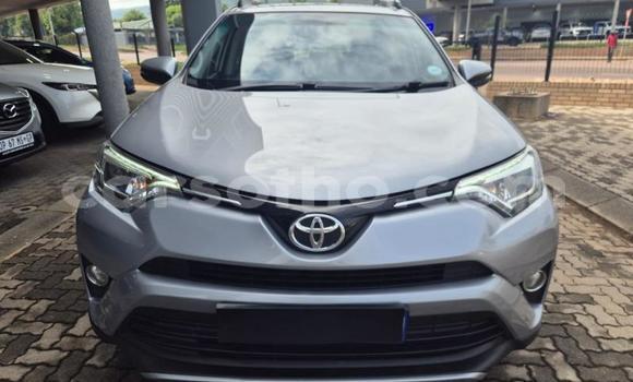 Buy Used Toyota RAV4 Silver Car in Maseru in Maseru
