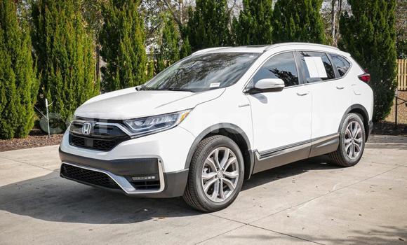 Buy Used Honda CR–V White Car in Maputsoe in Leribe Buy Used Honda CR–V White Car in Maputsoe in Leribe