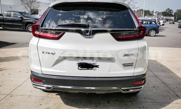 Buy Used Honda CR–V White Car in Maputsoe in Leribe Buy Used Honda CR–V White Car in Maputsoe in Leribe