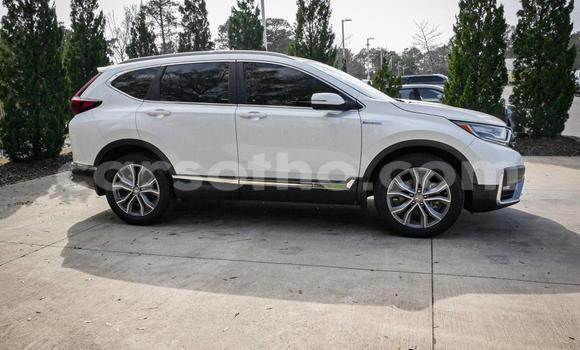 Buy Used Honda CR–V White Car in Maputsoe in Leribe Buy Used Honda CR–V White Car in Maputsoe in Leribe