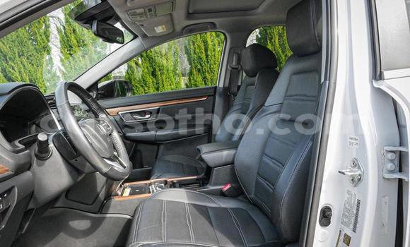 Buy Used Honda CR–V White Car in Maputsoe in Leribe Buy Used Honda CR–V White Car in Maputsoe in Leribe